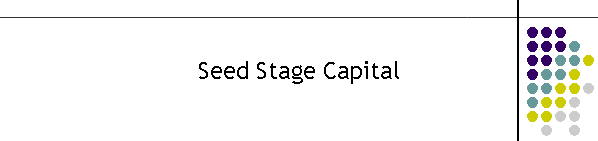 Seed Stage Capital
